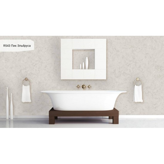 R543 / RM543 Пик Эльбруса