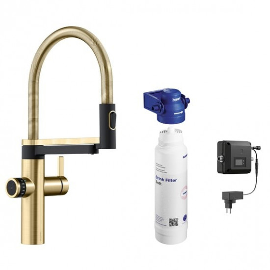 Blanco EVOL-S Pro Filter сатин золото