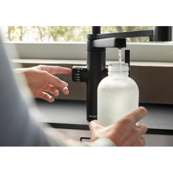 Blanco EVOL-S Pro Filter черный матовый