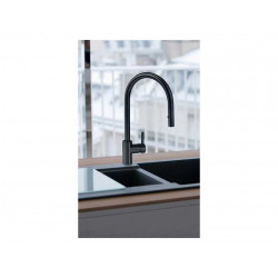 Franke Eos Neo Pull Down